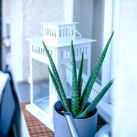 Apartmán Gemuetliche Neben Der Arena 