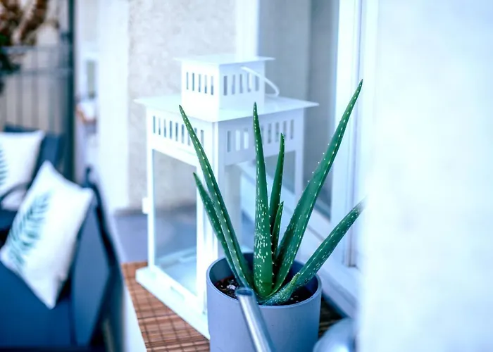 Apartment Gemuetliche Neben Der Arena 